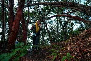 BIB: 
                            <button type="button" onclick="openModal(26346646)" class="btn btn-primary btn-sm float-right btn-popup" data-toggle="modal" data-target=".modal-high-quality">
                        <i class="fas fa-shopping-cart"></i> Add to Cart
                    </button>
                                            <button type="button" onclick="isThisMe(26346646, true)" class="btn btn-success btn-sm float-right btn-popup btn-isme hidden" data-toggle="tooltip" data-placement="bottom" title="นี่คือรูปของคุณใช่ไหม คลิกที่นี่เพื่อเอาเข้าอัลบั้ม">
                        <i class="fas fa-plus"></i> Add to album
                    </button>
                    <button type="button" onclick="isThisMe(26346646, false)" class="btn btn-warning btn-sm float-right btn-popup btn-isnotme hidden">
                        <i class="fas fa-ban"></i> Remove from album
                    </button>